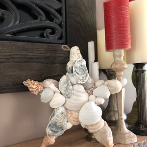 Stunning Sea Shell Star