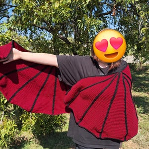 Dragon Wing Shawl