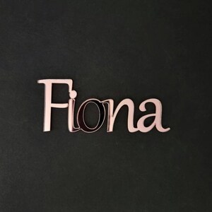 Feona Cursive Non Cursive-acrylic Custom Cake Name Tags , Cake Charms, Place Cards ...