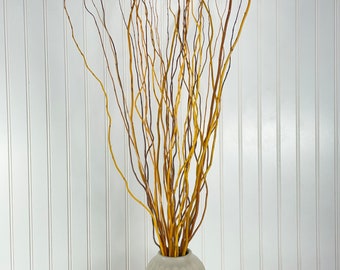 Dried Curly Willow Etsy