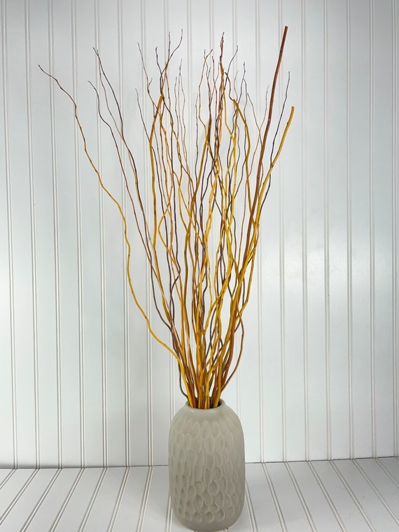 Curly Willow Branches for Arrangements - Long Stem Natural