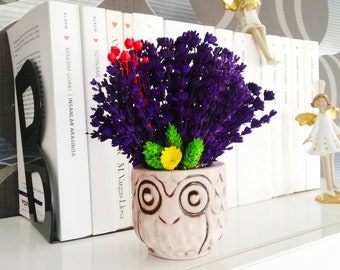 Preserved Lavender Arrangement in Owl Ceramic Pot,Lavender,Lavender Gifts,Lavender bunches Dried flower, Decorative, Vintage Style,Lavandula