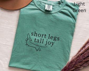 Dachshund Lover Shirt, Wiener Dog Owner Gift, Doxie Mama Shirt, Dachshund Owner Tee Gift Ideas, Gift for Dog Mom, Dog Lover Tee