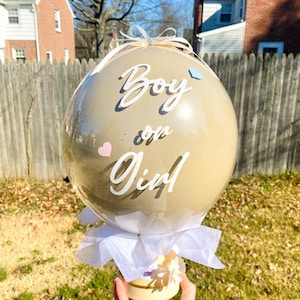 Gender Reveal Balloon Finished Product (No DIY)| No mess Gender Reveal Balloon| Gender Reveal Decorations! Pregnancy Announcement
