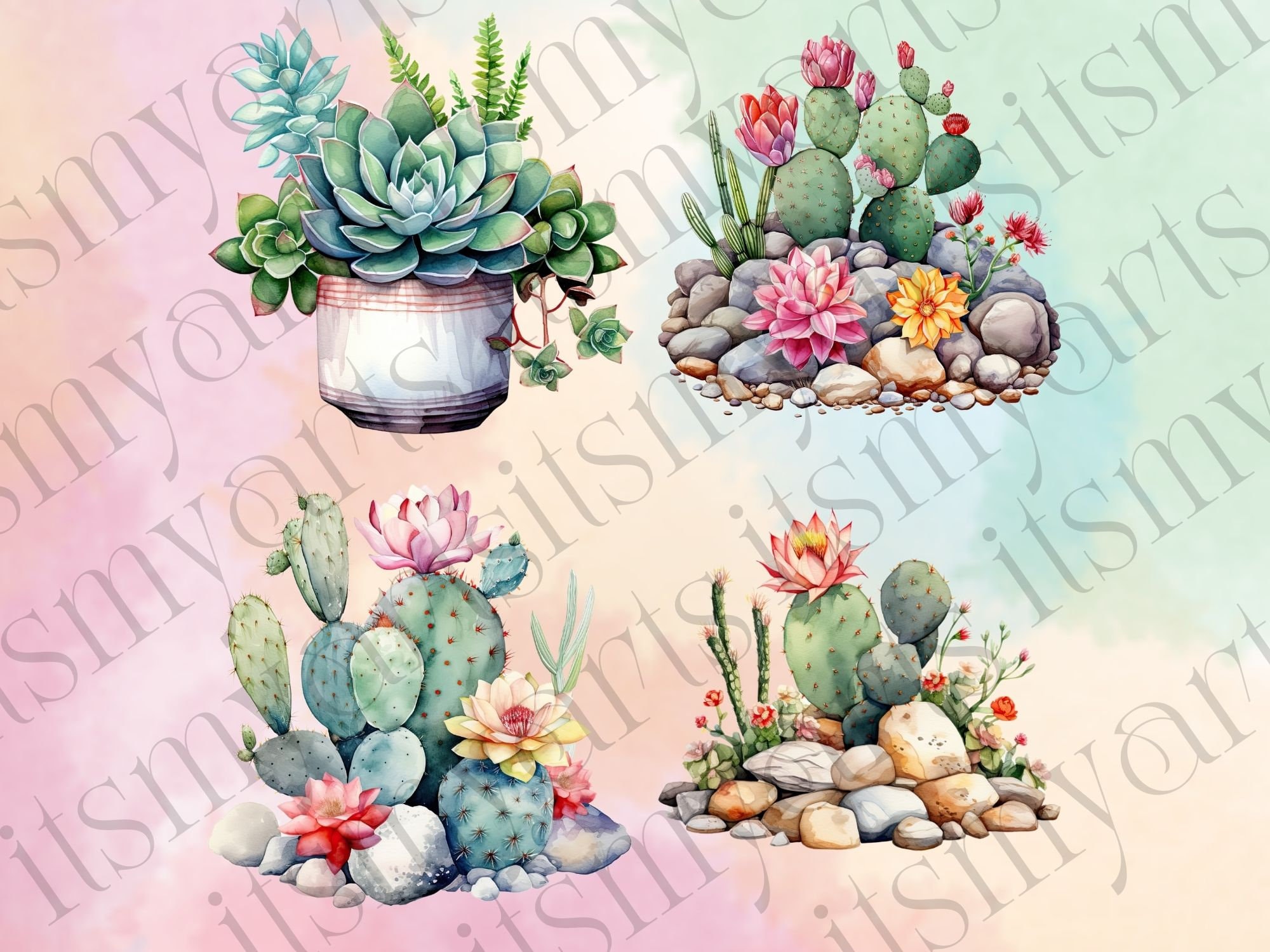 22 PNG Watercolor Floral Cactus Succulent Clipart - Instant Download - Etsy
