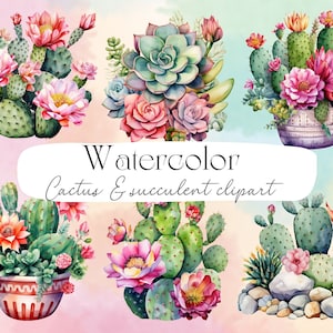 22 PNG aquarelle Floral Cactus succulent Clipart - téléchargement immédiat