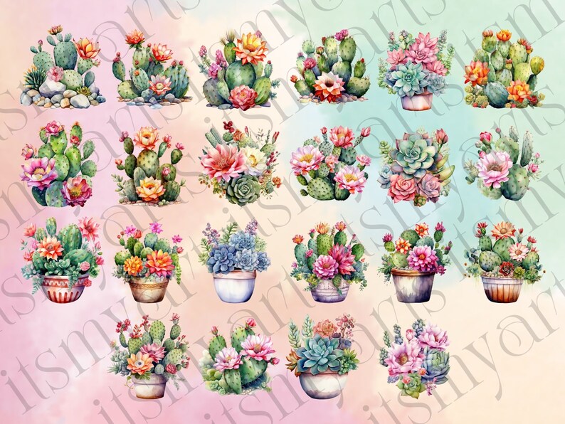 22 PNG Watercolor Floral Cactus Succulent Clipart - Instant Download - Etsy