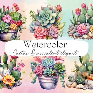22 PNG aquarelle Floral Cactus succulent Clipart - téléchargement immédiat