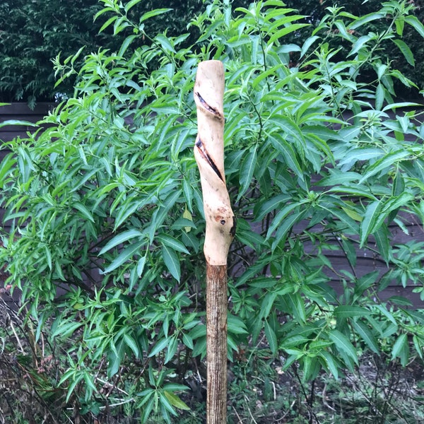 Rustic Twisted Wooden Hiking Stick, Handmade wizard Staff, Unique Walking Stick, natural spiral pole, Outdoor Adventure, nature lover gift