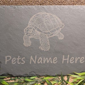 May include: A grey slate sign with a white etched image of a turtle and the text "Pets Name Here".