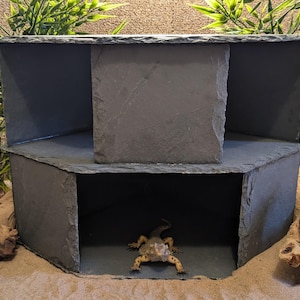 May include: A multi-tiered, dark grey slate reptile habitat. The structure has a hexagonal base with a second level and a central square platform. A reptile is visible inside the lower level. The habitat is set on a sandy surface with greenery in the background.