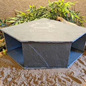 May include: A grey slate axolotl hideaway with a hexagonal shape. The top surface features an etched axolotl design. The hideaway is designed for reptiles and amphibians. The hideaway is made of slate.