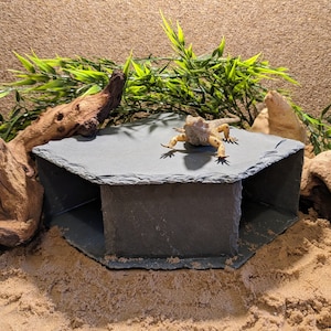 May include: A grey hexagonal reptile hide with a small lizard inside. The hide is made of slate and has three openings. The hide is sitting on a bed of sand.
