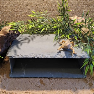 May include: A grey slate reptile hide with a small lizard on top. The hide is surrounded by artificial bamboo plants and driftwood on a sandy surface.