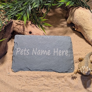 May include: A grey slate sign with the text "Pets Name Here" written in white. The sign is sitting on a bed of sand with a small lizard in the foreground.