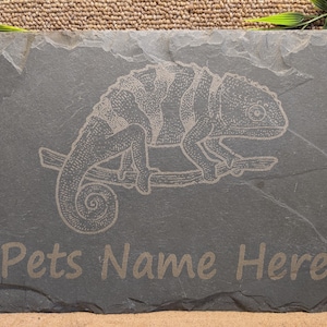 May include: A dark grey slate pet sign featuring an engraved chameleon on a branch. The text "Pets Name Here" is etched below the image. The sign has a rectangular shape with natural, uneven edges, suitable for a pet's name.