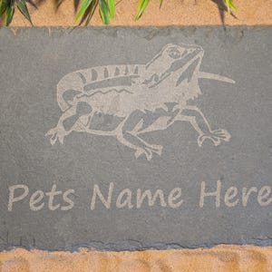 May include: A grey slate stone with a white engraved image of a bearded dragon lizard. The text "Pets Name Here" is engraved below the lizard.