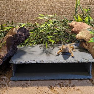 May include: A grey slate hide with a small opening for a reptile to enter. The hide is surrounded by artificial plants and driftwood.