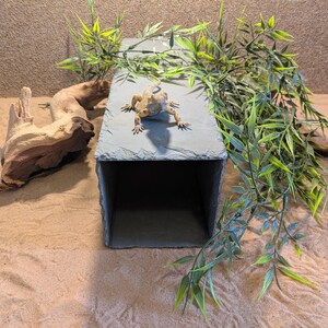 May include: A reptile habitat setup with a slate-like hide, driftwood, and artificial greenery. A tan bearded dragon is on top of the hide. The enclosure is set on a sandy substrate.