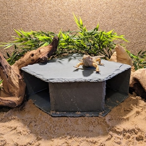 May include: A grey slate reptile hide with three openings, featuring a small lizard on the top platform. The hide is surrounded by sand and artificial plants.