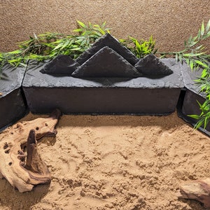 May include: A black slate reptile habitat with a mountain-shaped background, a small lizard, and green plants. The habitat is filled with sand and a piece of driftwood.