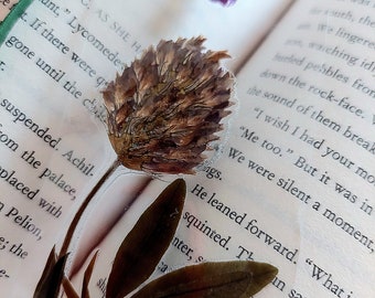 Bookmark with pressed flowers, clear view, with colourful ribbons