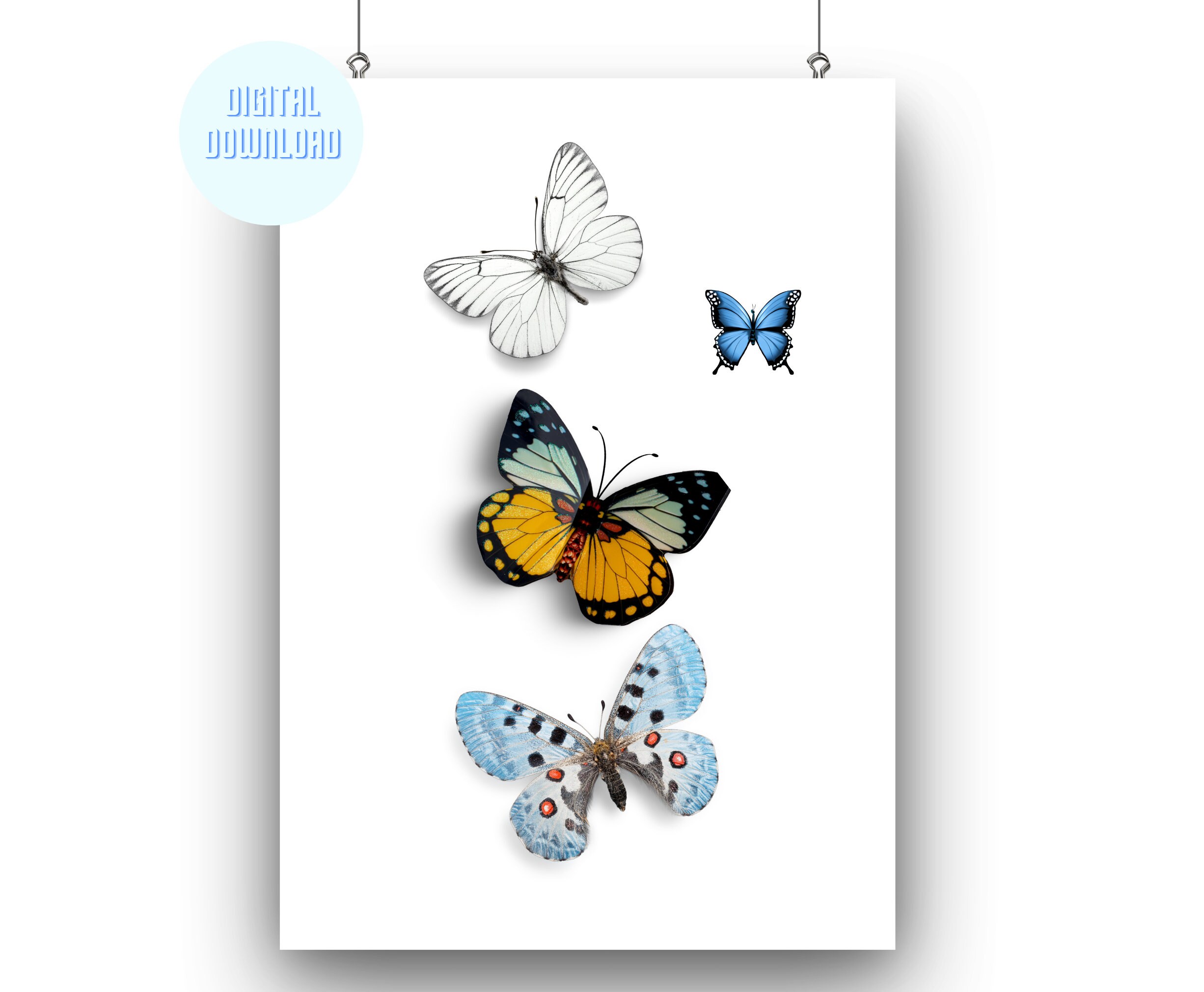 Printable Butterfly Art Butterfly Print Butterfly Wall Art - Etsy