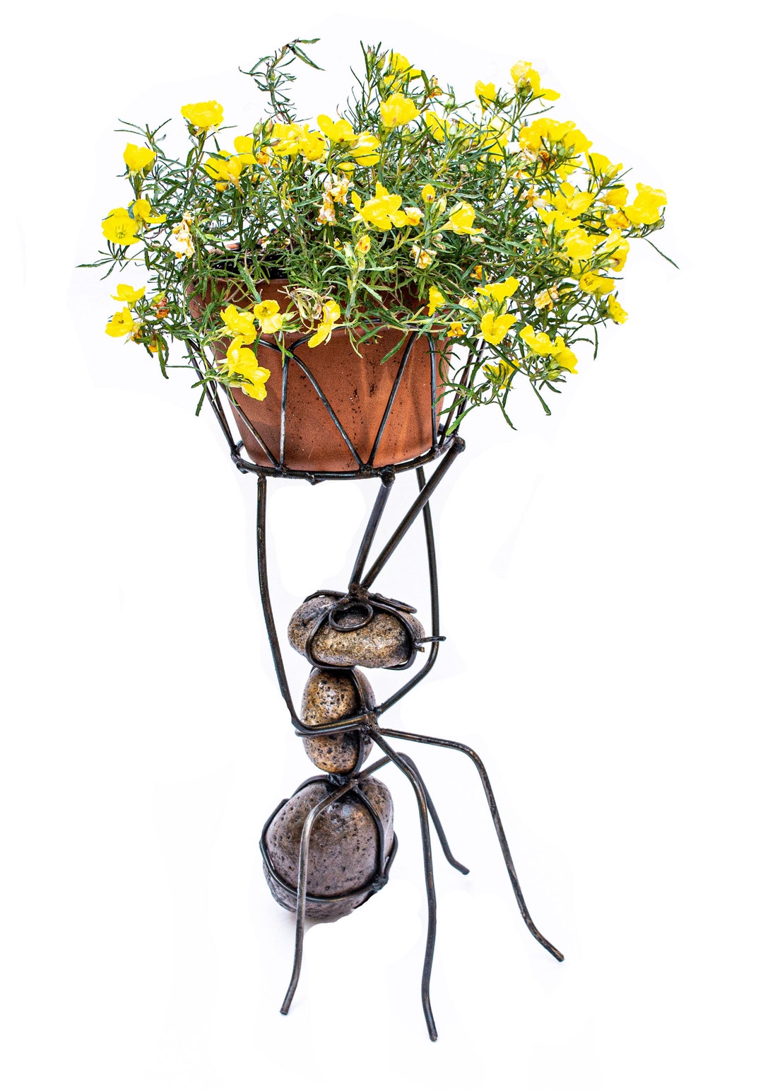 Ant Garden Decoration Etsy