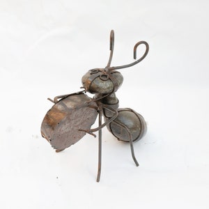 Garden Ant playing Big Drum