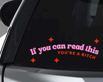 Funny Car Decal: Sassy Bumper Sticker - 7"x4"