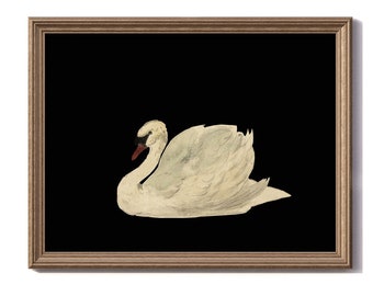 Antique Swan Painting,  Dark Academia wall Art, white Swan on black background printable, Moody Vintage, dark painting