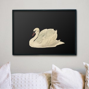 K&ouml;nnte beinhalten: Ein wei&szlig;er Schwan mit rotem Schnabel ist vor einem schwarzen Hintergrund dargestellt. Der Schwan befindet sich in einer Ruheposition mit dem Kopf zur Seite gedreht.