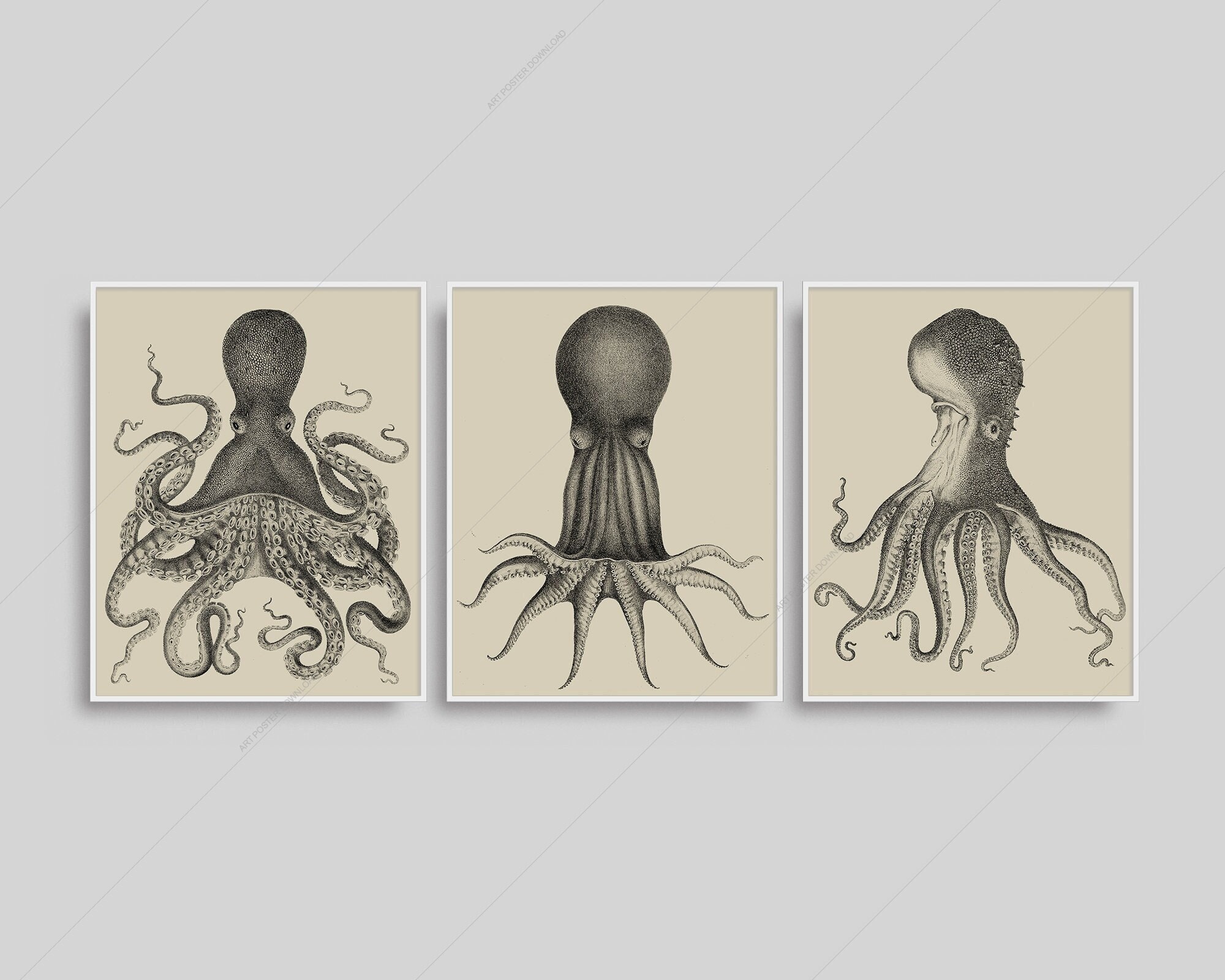 Download Seattle Kraken Octopus Tentacle Art Wallpaper