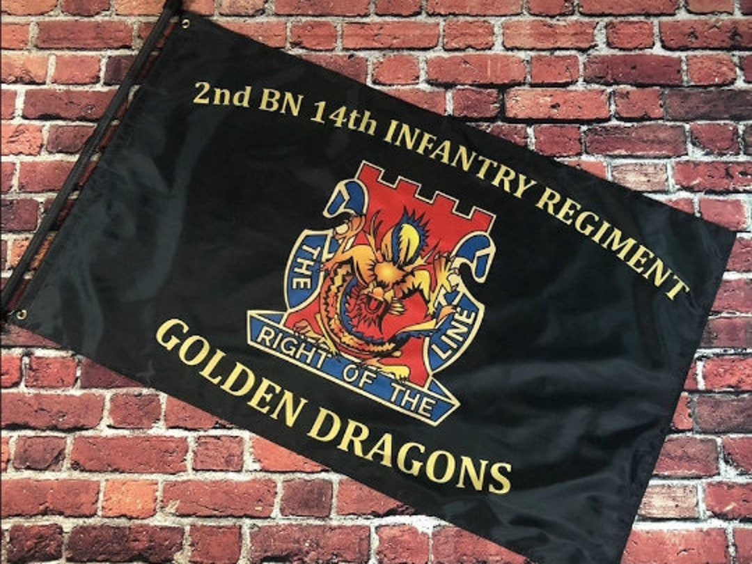超人気新品 | Guidons & Flags IN. 14th Double 3 | DRAGONS GOLDEN | Sided 洋楽
