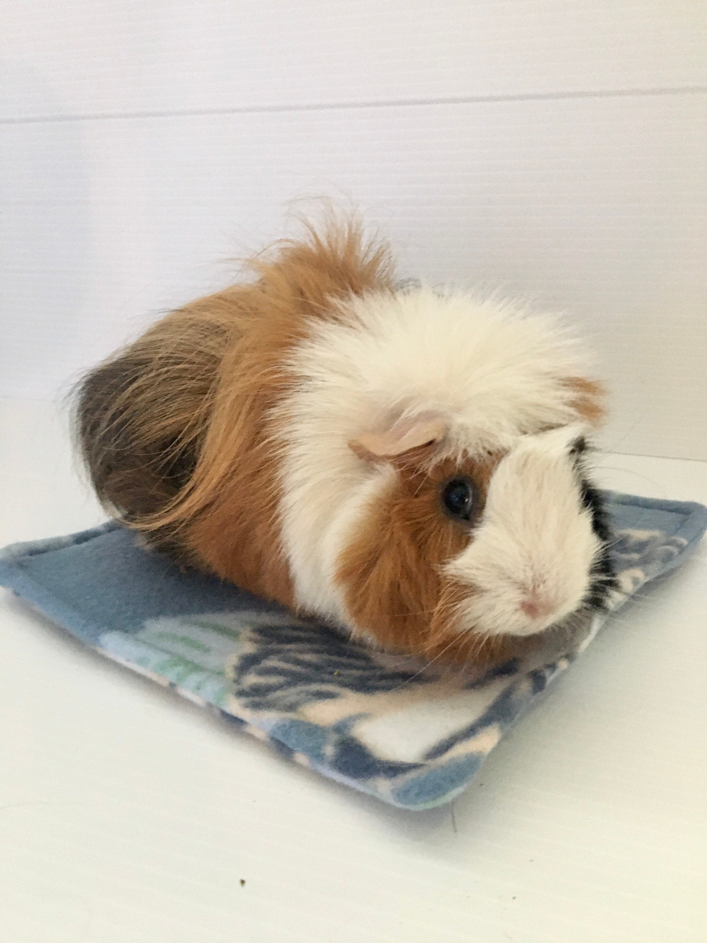Guinea pig potty pad/ Fleece potty pad/ Pee pad/ Absorbent Etsy