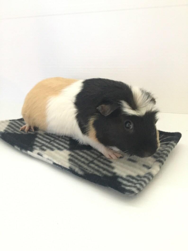 Guinea Pig Tunnel Potty Pad/ Fleece Potty Pad/ Absorbent Uhaul Etsy