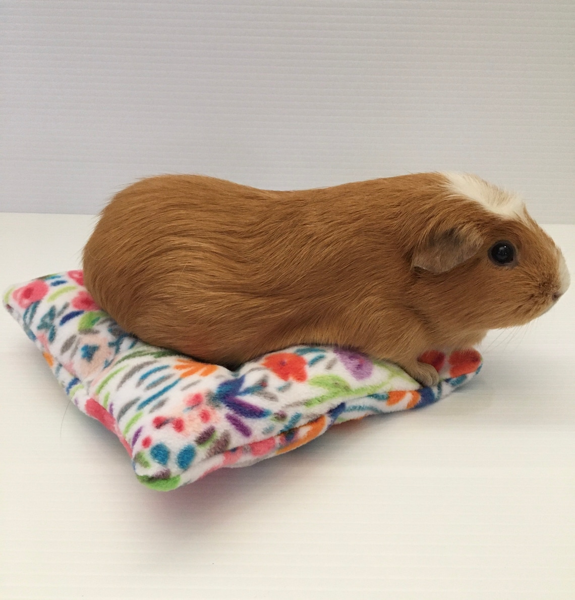 Guinea Pig Pillow Bed/ Fleece Bed/ Small Animal Pillow bed/ Etsy
