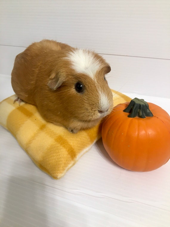 Guinea pig soft bed deals