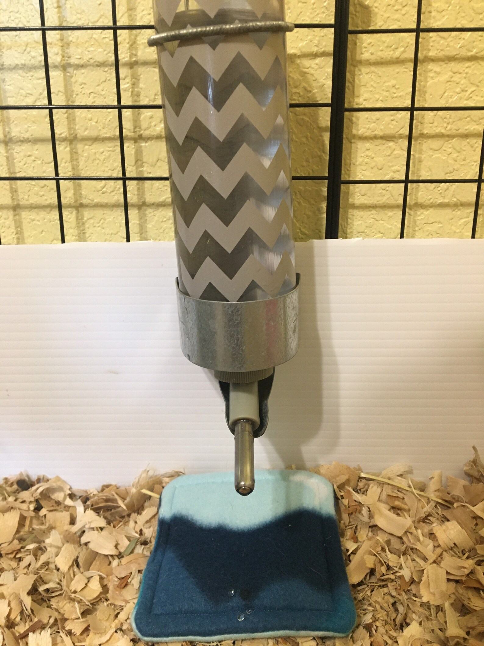 Guinea Pig Drip Pad/ Fleece potty pad/ Absorbent uhaul pad Etsy