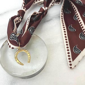 Horseshoe Scarf Necklace- Paisley Print with Gold Charm - Multiple Colors Available