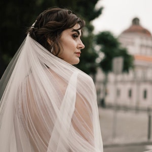 Puede incluir: Una novia con un velo blanco con un delicado patr&oacute;n de encaje. El velo fluye detr&aacute;s de ella mientras mira hacia un lado.