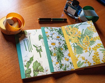 Lot of three notebooks, 120 pages, Tomoe River, A5 stapled, "Carte Tassotti"