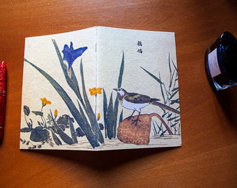 Tomoe River Notebook Kozo-Mulberry "Titmouse and Iris" – A5, 120 Pages, Stapled