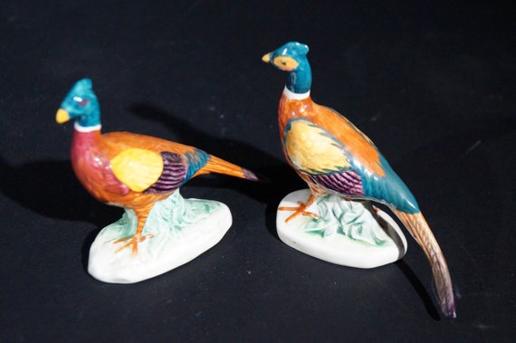 Two ringnecked pheasants
