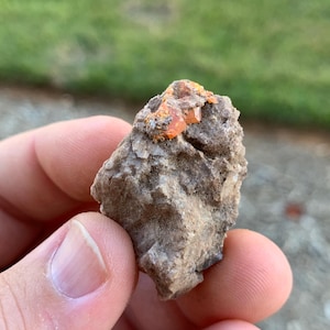 Red Cloud Wulfenite Arizona USA Mineral Specimen