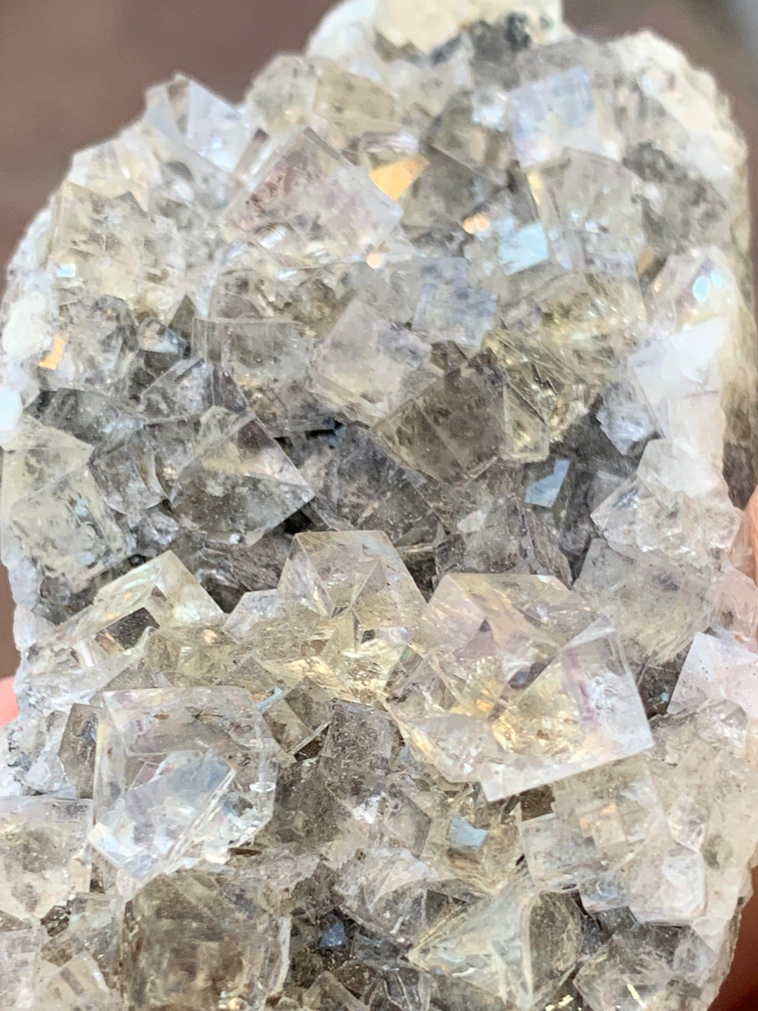 Harvest Pocket Lady Annabella Mine Cubic Fluorite Matrix Etsy