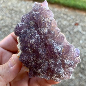 Navidad Fluorite Durango Mexico Mineral Specimen