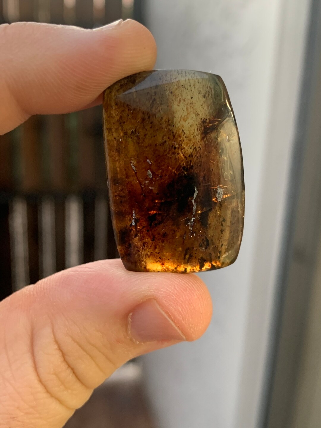 Polished Amber Fossilized Tree Sap Chiapas Mexico Mineral Specimen - Etsy
