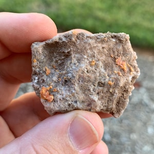Red Cloud Wulfenite Arizona USA Mineral Specimen