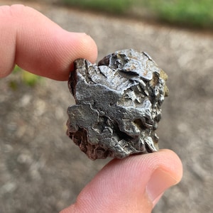 El Campo del Cielo Meteorite Argentina Mineral Specimen